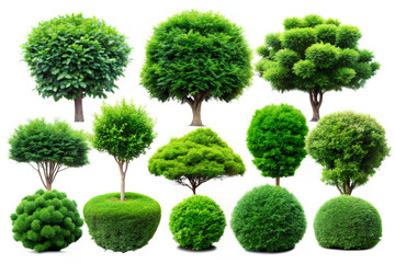 Set of green bushes and trees. isolated on white background, Clipping path