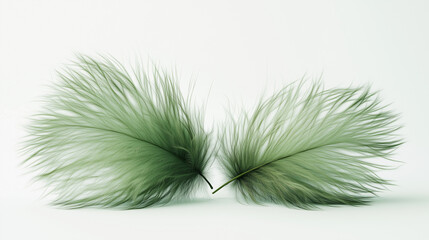  Two fluffy green feathers lie on a white background, with their soft and thin fibers gently spreading in different directions, creating a sense of lightness and natural beauty