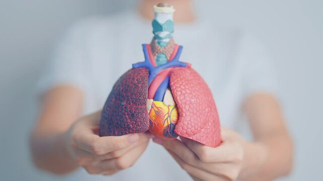 Doctor with Respiratory system anatomy for Diseases. Lung Cancer, Asthma, Chronic Obstructive Pulmonary or COPD, Bronchitis, Emphysema, Cystic Fibrosis, Bronchiectasis, Pneumonia and Pleural Effusion