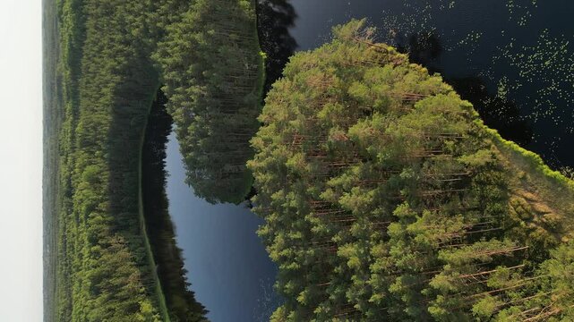 Vertical format: Nature flyover, Lasa Lake boreal forest in Estonia