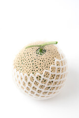 한국형 네트 멜론