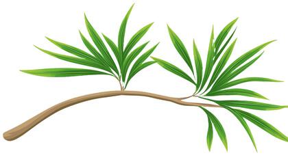 Fototapeta premium Cut Out Palm Tree Branch with Vibrant Green Leaves Isolated on White Background