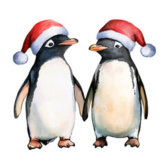 Two festive penguins wearing Santa hats, white isolated background.