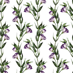 Seamless pattern with Eustoma flowers. Lisianthus flower or bellflower. Leaves and stems are green. White and purple. No background. Watercolor illustration