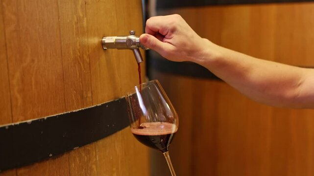 Closeup hand of male sommelier wine taster opens valved barrel filled with red wine into glass savoring the deliciousness and harmony oak barrels temperature controlled room inside winery.