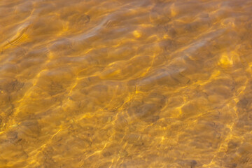 dark muddy lake water in winter without snow