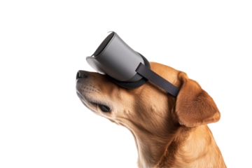 Dog wearing virtual reality headset, isolated transparent background