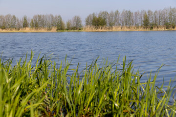 The blue water in the lake reflects the blue sky in spring