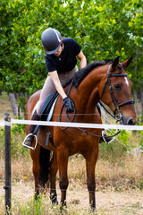 Fototapeta premium Young woman adjusting reins while riding a brown horse outdoors