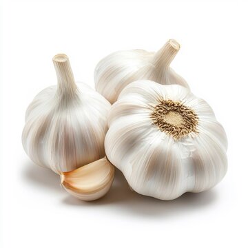 Fresh garlic isolated on a white background.