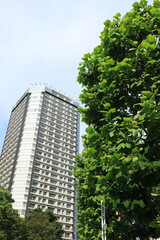 横浜みなとみらいにある高いビジネスビルや施設のある都市風景