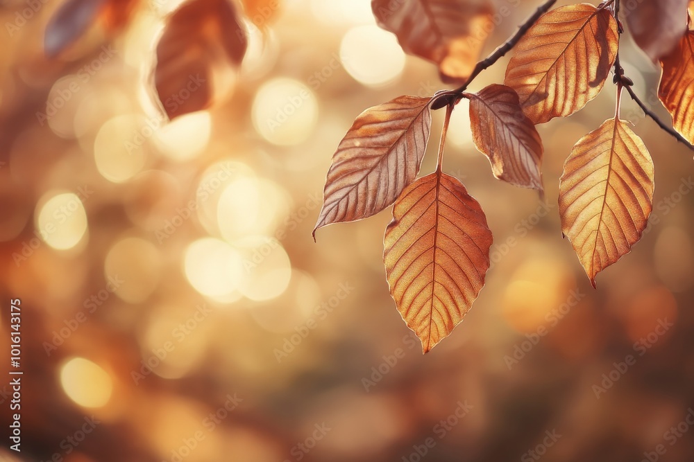 Poster A beautiful depiction of autumn leaves on a branch, softly illuminated by golden bokeh light. The intricate leaf patterns stand out against the warm, soft background.