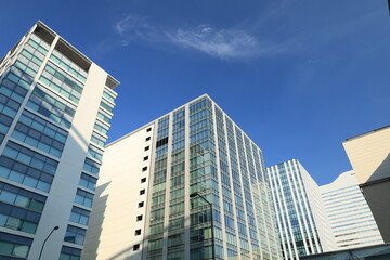 Fototapeta premium 横浜みなとみらいにある高いビジネスビルや施設のある都市風景