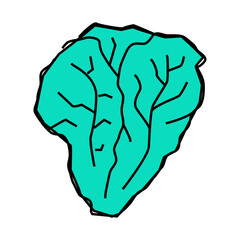 lettuce green line icon vector. lettuce green sign. isolated symbol illustration