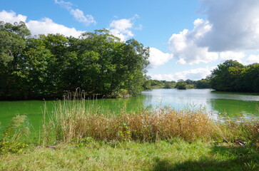 大沼公園の景観