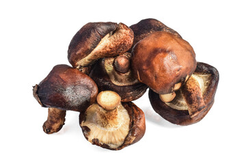 Fresh shiitake mushrooms against a transparent background.png