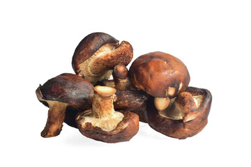Fresh shiitake mushrooms against a transparent background.png