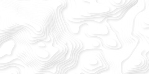 Background with lines Modern white carve wave line abstract luxury 3d papercut background.  minimal topography map light element shadow landscape