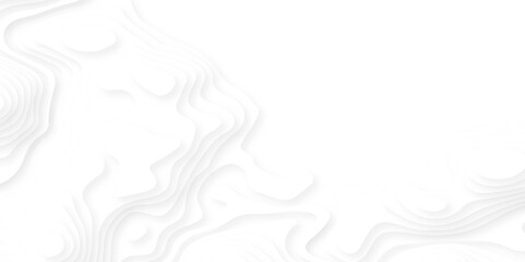 Background with lines Modern white carve wave line abstract luxury 3d papercut background.  minimal topography map light element shadow landscape