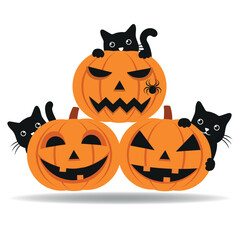 Illustration of pumpkin with cats and spider for Halloween on white background