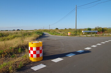 草原と分かれ道