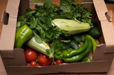 crate filled with fresh organic vegetables in sun light