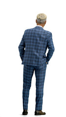 Naklejka premium A man, full-length, on a white background