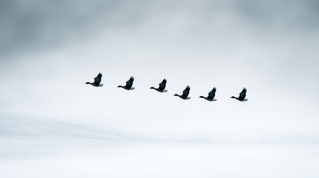 Flock of geese flying in V-formation over a snowy field, their dark bodies outlined against a pale winter sky, low clouds heavy with snow 