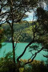 Somewhere in the west coast, New Zealand 