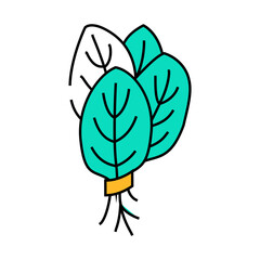 bunches spinach line icon vector. bunches spinach sign. isolated symbol illustration