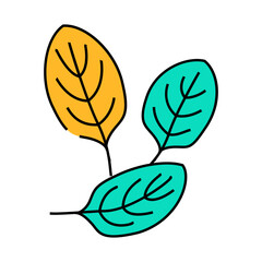 spinach green line icon vector. spinach green sign. isolated symbol illustration