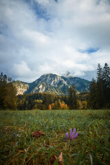 a walk in the mountains, a trip to the mountains, a hike in the mountains