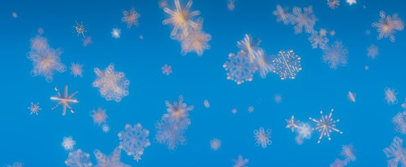 Snowflakes Falling on a Blue Sky