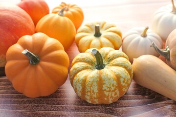 Pumpkins and squashes in the kitchen. Close up of pumpkin fruits backlit. Autumn vibes picture.