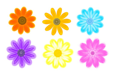 set of flowers