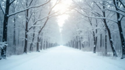 Fototapeta premium Snowy trees and path create a magical winter atmosphere