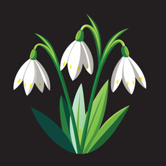 How To make snowdrop flower Vector 3D Image