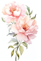 Delicate watercolor floral illustration