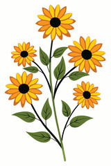 Obraz premium Black Eyed Susan Branch with Flowers Vector Design on White Background for Floral Illustration