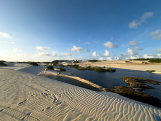 Fototapeta premium Genipabu dunes, Brazil at sunset