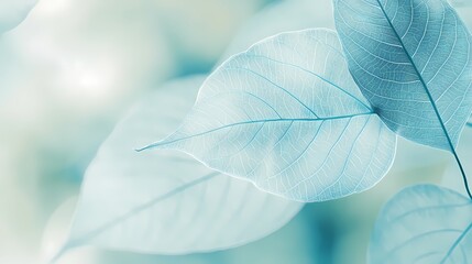 Obraz premium Turquoise leaf texture illustration poster background