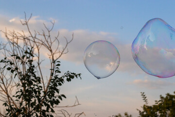 Soap bubbles in yard