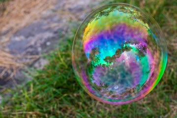 Soap bubbles in yard
