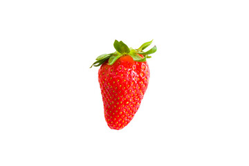 One strawberry