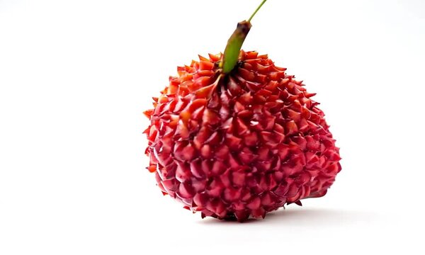 lychee isolated on a white background