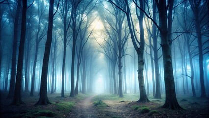 Naklejka premium Mysterious fog covers forest in spooky atmosphere