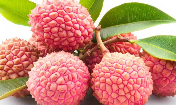 lychee on a branch