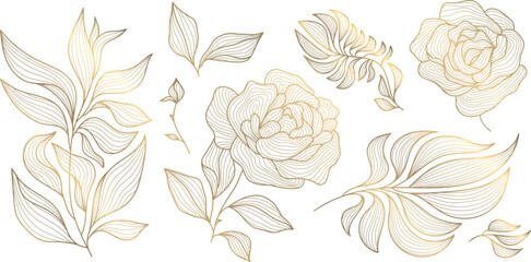 Vector set of art deco drawn leaves and flowers. Roses line illustrations, gold on white isolated. Floral graphic elements