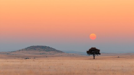 Breathtaking sunset scene over a remote arid desert landscape  A lone tree silhouetted against the warm vibrant sky symbolizes the closing of a chapter or final goodbye