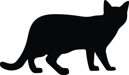 Cat silhouette 